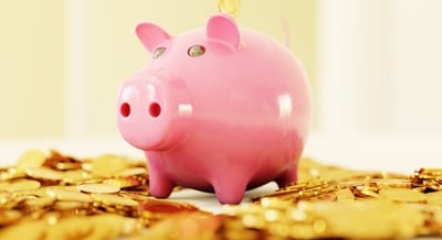 Read daily money and career horoscopes for all zodiac signs and know your fortune for today at Hindustan Times. (Unplash) Read daily money and career horoscopes for all zodiac signs and know your fortune for today at Hindustan Times. (Unplash)