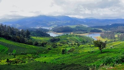 Ooty: Known for its tea plantations and hill station vibe, Ooty is a popular destination for travellers. Take a ride on the Nilgiri Mountain Railway or trek to Doddabetta Peak for panoramic views. (Unsplash)