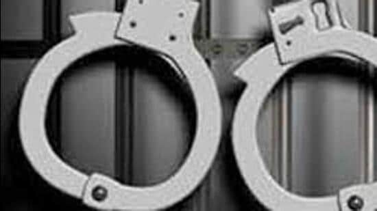 Ragpicker crushed by excavator in Delhi’s Ranhola, driver nabbed
