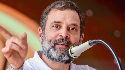 Congress leader Rahul Gandhi (File Photo) Congress leader Rahul Gandhi (File Photo)