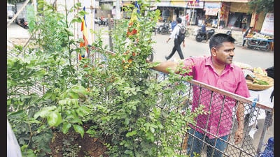 Kalyan, India - April 13, 2023: 45-year-old vegetable seller Narendra Bhagat converts the place into a small flower garden in the last two years after customers complained of the stink due to waste dumped at the location where he sold his vegetables, in Kalyan (East), India, on Thursday, April 13, 2023. (Photo by Pramod Tambe/HT Photo) (HT PHOTO) Kalyan, India - April 13, 2023: 45-year-old vegetable seller Narendra Bhagat converts the place into a small flower garden in the last two years after customers complained of the stink due to waste dumped at the location where he sold his vegetables, in Kalyan (East), India, on Thursday, April 13, 2023. (Photo by Pramod Tambe/HT Photo) (HT PHOTO)