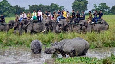 Kaziranga National Park: Home to the endangered one-horned rhinoceros, Kaziranga National Park is a wildlife sanctuary that is a must-visit destination for animal lovers. The park is also home to a variety of other animals such as tigers, elephants, and water buffalo. (PTI PHOTO) Kaziranga National Park: Home to the endangered one-horned rhinoceros, Kaziranga National Park is a wildlife sanctuary that is a must-visit destination for animal lovers. The park is also home to a variety of other animals such as tigers, elephants, and water buffalo. (PTI PHOTO)