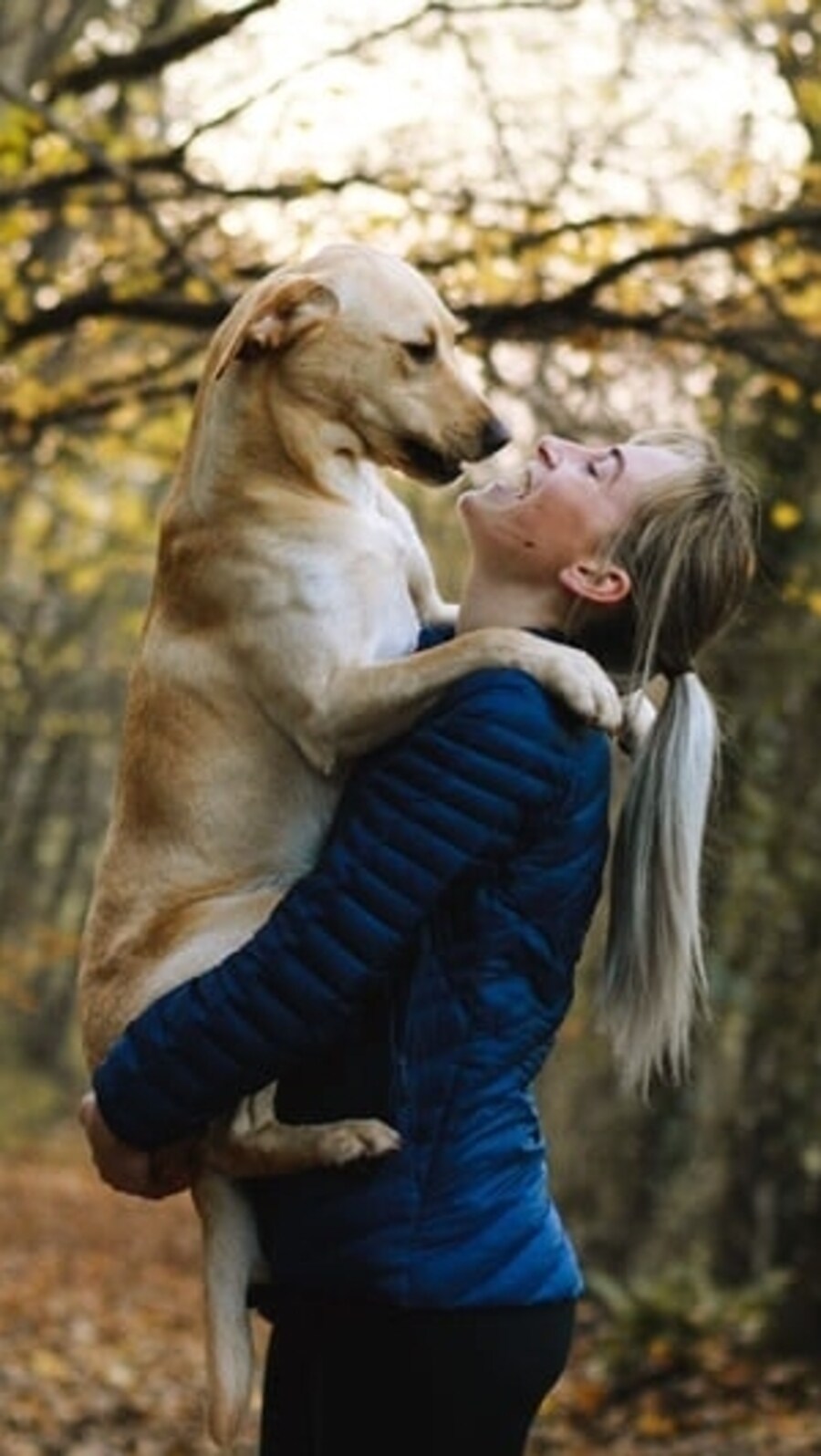 Pets are more than just furry companions, they can also provide a host of health benefits for their owners. (Pexels)