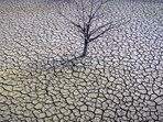 The study was conducted by analysing soil moisture data from around the world from 1951 to 2014.(AP)