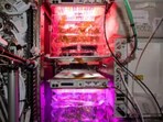 In its tweet, NASA announced that SpaceX's CRS-27, a cargo resupply spacecraft will ferry the tomatoes.(NASA)
