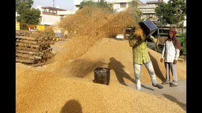 An official said the government was planning to press mobile vans into service to ensure maximum purchase of wheat from next week (For representation)