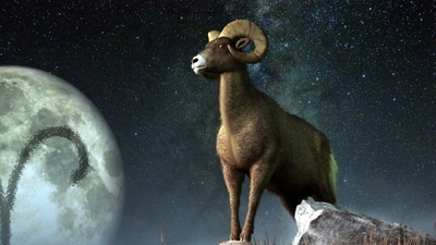 Weekly Horoscope Pisces, April 16-22, 2023: Display professionalism and no financial issues will exist this week. Weekly Horoscope Pisces, April 16-22, 2023: Display professionalism and no financial issues will exist this week.