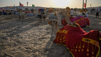 Camel Safari in Jaisalmer: A camel safari in Jaisalmer, Rajasthan, offers an authentic desert experience, with opportunities to visit remote villages and witness the beautiful sunset over the sand dunes. (AFP) Camel Safari in Jaisalmer: A camel safari in Jaisalmer, Rajasthan, offers an authentic desert experience, with opportunities to visit remote villages and witness the beautiful sunset over the sand dunes. (AFP)