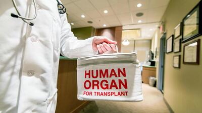 PGI serves as the Regional Organ and Tissue Transplant Organisation for the northern region, including Punjab, Haryana, Himachal Pradesh, and other neighbouring areas. (iStockphoto) PGI serves as the Regional Organ and Tissue Transplant Organisation for the northern region, including Punjab, Haryana, Himachal Pradesh, and other neighbouring areas. (iStockphoto)