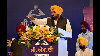 Punjab chief minister Bhagwant Mann (PTI) Punjab chief minister Bhagwant Mann (PTI)