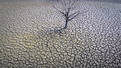The study was conducted by analysing soil moisture data from around the world from 1951 to 2014. (AP) The study was conducted by analysing soil moisture data from around the world from 1951 to 2014. (AP)