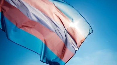 NALSA is one of the first statutory bodies in India that opened up to transgender inclusion. (Shutterstock) NALSA is one of the first statutory bodies in India that opened up to transgender inclusion. (Shutterstock)