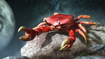 Weekly Horoscope Cancer, April 16-22, 2023 fortune may hit you and your health is good this week. Weekly Horoscope Cancer, April 16-22, 2023 fortune may hit you and your health is good this week.