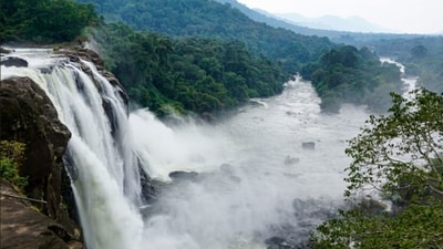 Athirapally Waterfalls: The majestic Athirapally waterfalls are a sight to behold. The waterfall cascades down from over 80 feet, creating a misty spray. You can trek to the bottom of the waterfall and admire the beauty of nature. (Unsplash) Athirapally Waterfalls: The majestic Athirapally waterfalls are a sight to behold. The waterfall cascades down from over 80 feet, creating a misty spray. You can trek to the bottom of the waterfall and admire the beauty of nature. (Unsplash)