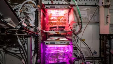 In its tweet, NASA announced that SpaceX's CRS-27, a cargo resupply spacecraft will ferry the tomatoes. (NASA)