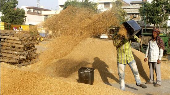 Other than the prevailing wheat issues, the farm unions in Haryana are also seeking early compensation for crop damage and for malkana deh land rights to farmers. (HT File)