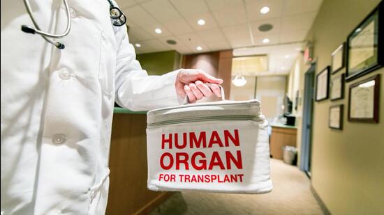 PGI serves as the Regional Organ and Tissue Transplant Organisation for the northern region, including Punjab, Haryana, Himachal Pradesh, and other neighbouring areas. (iStockphoto)