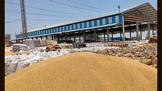 Wheat at the Indri grain market in Karnal of Haryana on Saturday. (HT Photo)