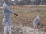 UP man goes viral for his friendship with a Sarus crane.