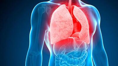 BMC to start DR-TB centre in private hospitals BMC to start DR-TB centre in private hospitals