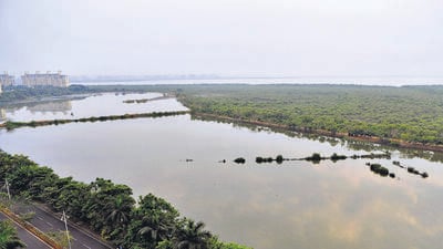 Navi Mumbai, India - Dec. 15, 2018:Navi Mumbai couple ( Sunil Agarwal & Suruti Agarwal ) protected a wetland at NRI complex Talawe wetlands, Seawoods in Navi Mumbai, India, on Saturday, December 15, 2018. (Photo by Bachchan Kumar/ Hindustan Times) (Hindustan Times) Navi Mumbai, India - Dec. 15, 2018:Navi Mumbai couple ( Sunil Agarwal & Suruti Agarwal ) protected a wetland at NRI complex Talawe wetlands, Seawoods in Navi Mumbai, India, on Saturday, December 15, 2018. (Photo by Bachchan Kumar/ Hindustan Times) (Hindustan Times)