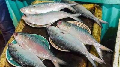 Providing fishes at subsidised rate from fisheries outlets on Bengali New Year isn’t new for Tripura. (Representative Image) Providing fishes at subsidised rate from fisheries outlets on Bengali New Year isn’t new for Tripura. (Representative Image)