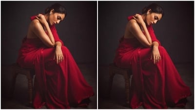 Sobhita draped the gorgeous saree and teamed it with a red silk blouse featuring sleeveless details and a halter neckline. The blouse also came with tie up details at the back.&nbsp; (Instagram/@sobhitad)
