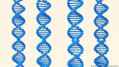 The Human Genome Project gave us the first sequence of the human genome, kickstarting a revolution in biology. (Zoonar.com/Ake Puttisarn/picture alliance) The Human Genome Project gave us the first sequence of the human genome, kickstarting a revolution in biology. (Zoonar.com/Ake Puttisarn/picture alliance)