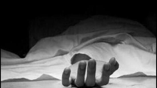 Officials said children were fiddling with the shell on their way back home in Kargil’s Khurbathang area. (HT File)