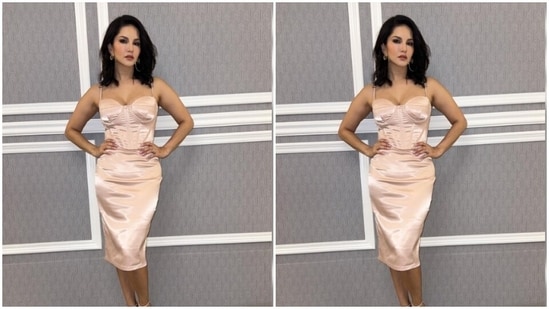 Sunny wore silver hoop earrings from the house of Nepra and completed her look for the day in minimal jewellery.&nbsp;(Instagram/@sunnyleone)
