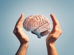 Brain developing sequence through adolescence: Study reveals