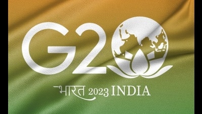 G-20 countries expressed concern about illicit trafficking and the diversion of small arms and light weapons. (HT Photo) G-20 countries expressed concern about illicit trafficking and the diversion of small arms and light weapons. (HT Photo)
