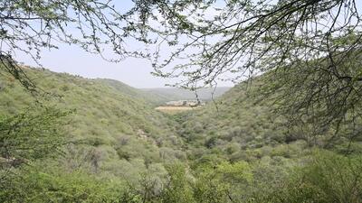 On October 10 last year, the NGT had directed the Haryana government to set up a special cell for the protection and management of the Aravallis. (Parveen Kumar/HT Photo) On October 10 last year, the NGT had directed the Haryana government to set up a special cell for the protection and management of the Aravallis. (Parveen Kumar/HT Photo)