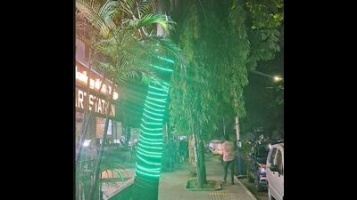 Pune Municipal Corporation (PMC) garden department has said that taking such action is difficult as there is no law banning the commercial use of artificial lights (HT PHOTO) Pune Municipal Corporation (PMC) garden department has said that taking such action is difficult as there is no law banning the commercial use of artificial lights (HT PHOTO)