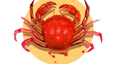 Cancer Daily Horoscope Today for April 19, 2023: Cancer, take the day to focus on your physical and mental wellbeing.