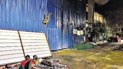Three Nizamuddin East dwellers. Three Nizamuddin East dwellers.