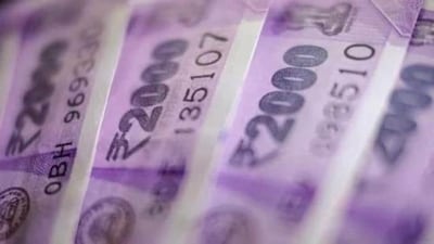 In his election affidavit, Nagaraju mentioned his profession as an agriculturist and businessman. (Representative Image) In his election affidavit, Nagaraju mentioned his profession as an agriculturist and businessman. (Representative Image)
