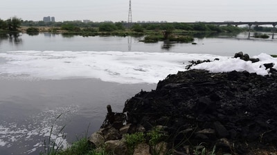 A general view of the Sabarmati River near Ahmedabad. (AFP) A general view of the Sabarmati River near Ahmedabad. (AFP)