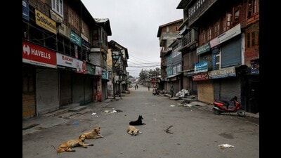 There is no official data on the size of stray animals in the country, but recent cases especially the ones involving children being fatally wounded by stray dogs have riveted attention to a largely unaddressed problem. (REUTERS)