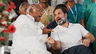 Congress leader Rahul Gandhi called for a caste census and proportionate reservation. (PTI) Congress leader Rahul Gandhi called for a caste census and proportionate reservation. (PTI)
