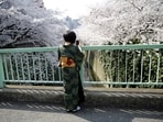 FILE PHOTO: A woman in a kimono takes a picture of cherry blossoms in full bloom in Tokyo March 30, 2015.  REUTERS/Toru Hanai/File Photo