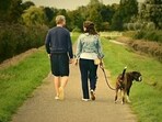 Taking your furry friend for a walk during the summer is a great way to keep them physically active and mentally stimulated. Taking your furry friend for a walk during the summer is a great way to keep them physically active and mentally stimulated.
