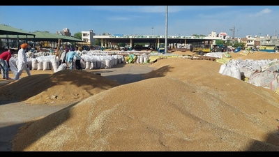 A grain market in Bathinda on Wednesday. (Sanjeev Kumar/Hindustan Times) A grain market in Bathinda on Wednesday. (Sanjeev Kumar/Hindustan Times)