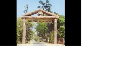 Dudhwa provides a safe home to a number of wild elephants. (Sourced pic)