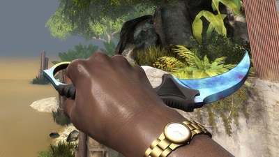 Karambit Case Hardened 'Blue Gem' knife in 'well-worn' condition, which sold for US$100,000 Karambit Case Hardened 'Blue Gem' knife in 'well-worn' condition, which sold for US$100,000