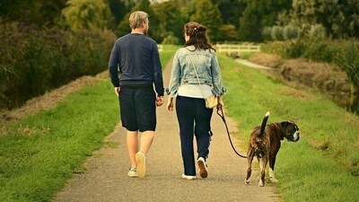 Taking your furry friend for a walk during the summer is a great way to keep them physically active and mentally stimulated. (Pixabay) Taking your furry friend for a walk during the summer is a great way to keep them physically active and mentally stimulated. (Pixabay)