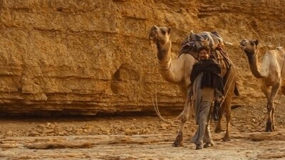 Irrfan in a still from The Song of Scorpions trailer. Irrfan in a still from The Song of Scorpions trailer.