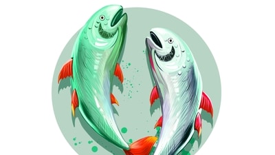 Libra Daily Horoscope Today for April 20, 2023 In this day and age, many don’t have the same courage you have to take the plunge.