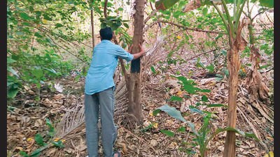 ‘MMRCL’s tally of additional 177 trees in Aarey Colony an undercount’