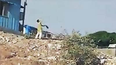 Youth feeding birds near Mumbai airport sets alarm bells ringing Youth feeding birds near Mumbai airport sets alarm bells ringing